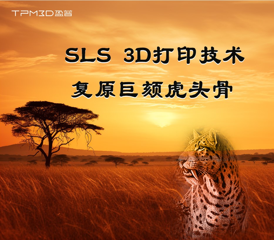 古化石新科技的碰撞丨看SLS 3D打印如何復(fù)原巨頦虎頭骨